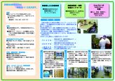 �p���t���b�g��