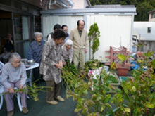 ���|�Ö@�̗l�q