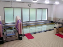 1���̃f�C�T�[�r�X�̗l�q