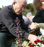 �t�̃f�C�T�[�r�X�̗l�q