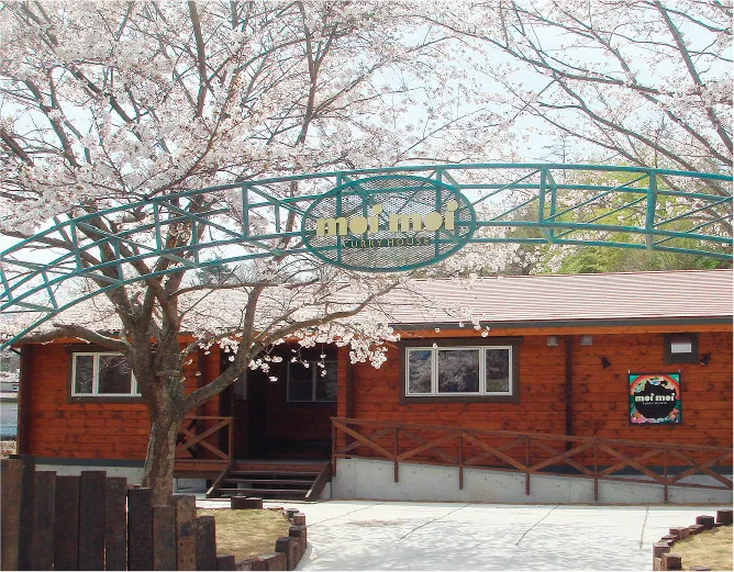 カレーハウスmoimoiの外観と桜