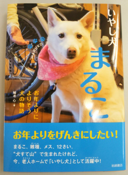 出版のお知らせ たじま荘癒し犬 まるこ が本になりました