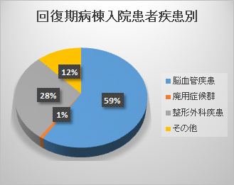 グラフ | 平成30年度 入院件数・入院患者疾患別内訳 回復期病棟