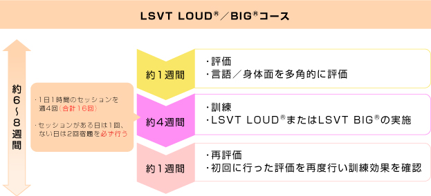 画像 | LSVT LOUD / BIGコースの説明