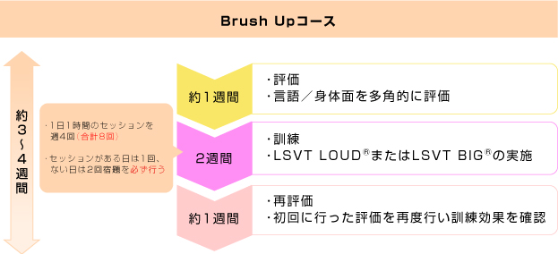 画像 | Brush Upコースの説明